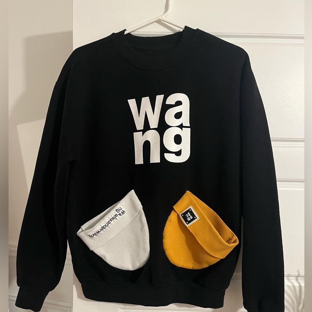 Alexander wang sweater